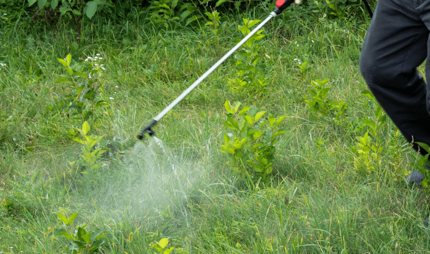 YARD PEST CONTROL